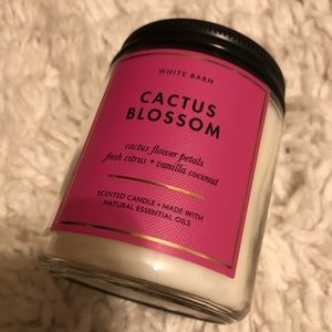 Bath and body works single wick cactus blossom candle